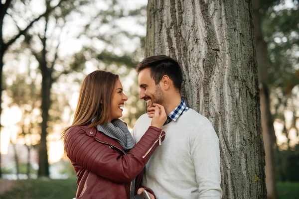 Day in the nature — Stock Photo, Image