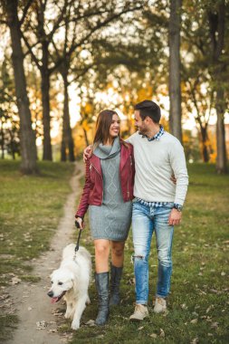 bir köpek yürüyüş