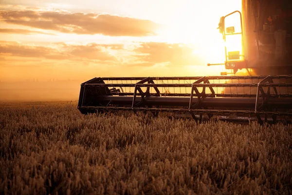Збирання врожаю пшениці — стокове фото