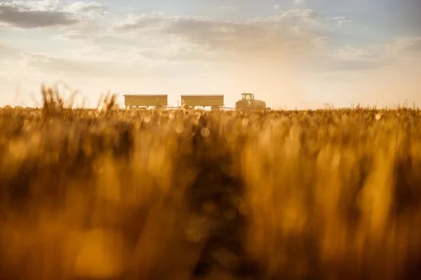 Traktor na straně země — Stock fotografie