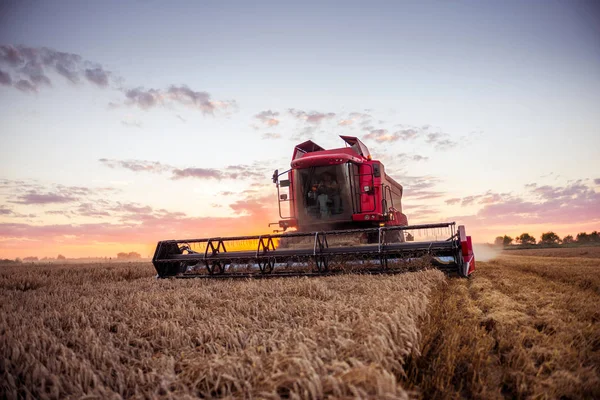 buğday hasat birleştirmek