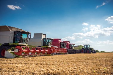 buğday hasat birleştirmek