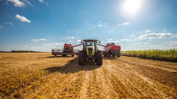Cosechando el trigo — Foto de Stock