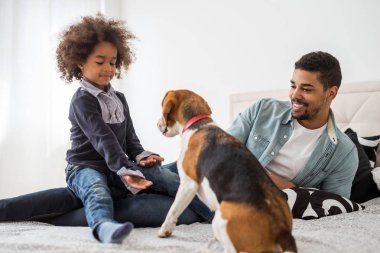 Onu evde beslenen hayvan besleme