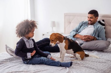 Daha fazla a evde beslenen hayvan, o aileden biri!