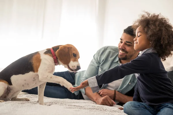 He is such a good boy! — Stock Photo, Image