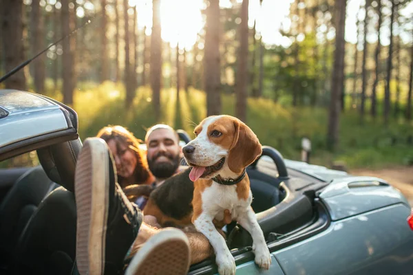 Sich entspannt und frei fühlen — Stockfoto