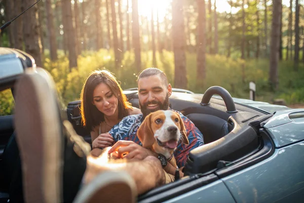 Enjoying life's journey — Stock Photo, Image