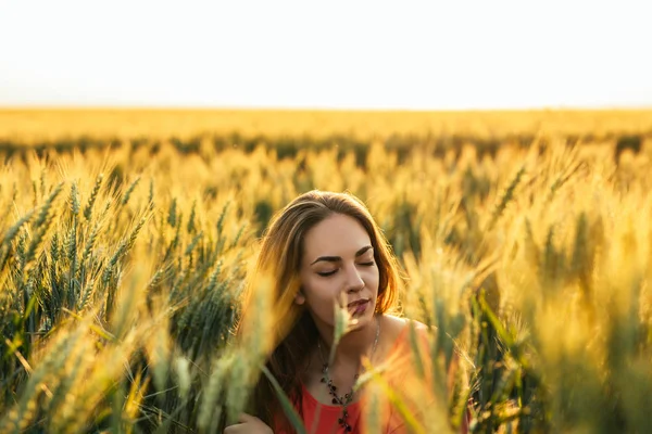 Ich liebe diese Sommertage auf den Feldern — Stockfoto