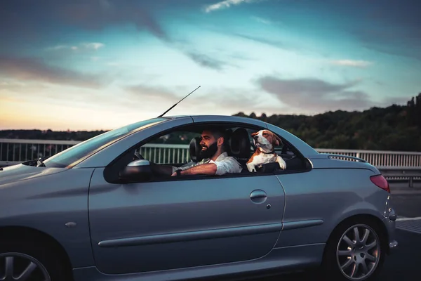 Cheio de muito amor e aventura — Fotografia de Stock