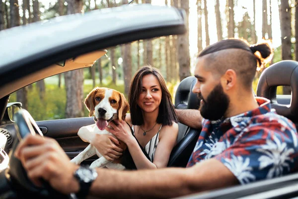 Unser Freund fürs Leben — Stockfoto