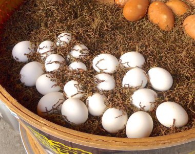 Çay yumurta closeup Tayvan