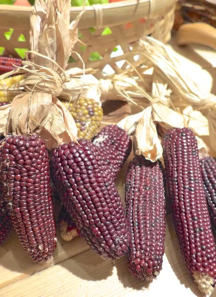 Sweet purple corn stock photo closeup — Stock Photo, Image