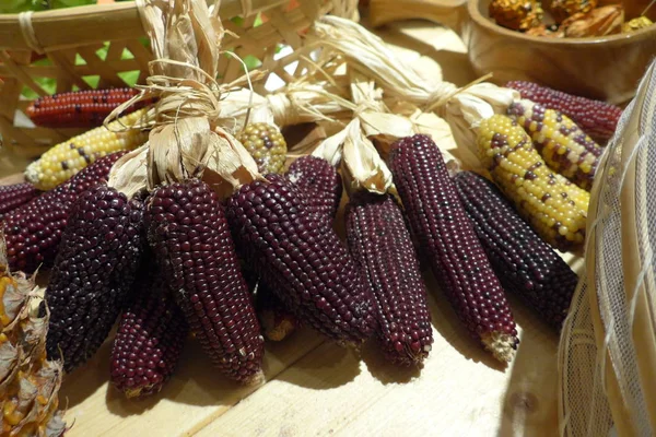 Sweet purple corn stock photo closeup — Stock Photo, Image