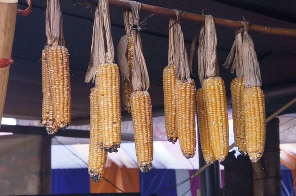 Dried corns closeup at warehouse — Stock Photo, Image