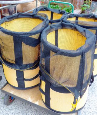 Sepetleri closeup Tayvan çay yaprakları