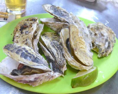 Kızarmış istiridye plaka üzerinde yakın