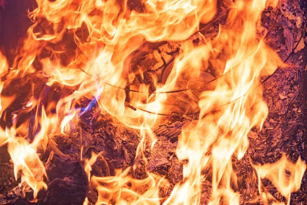 Yangın, yanan molozlar, odak noktası yok. Büyük yanan ateş.