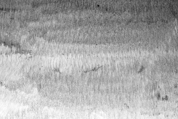 Gri metal arka plan. Arkaplan mekanik eyleme göre yapısaldır.