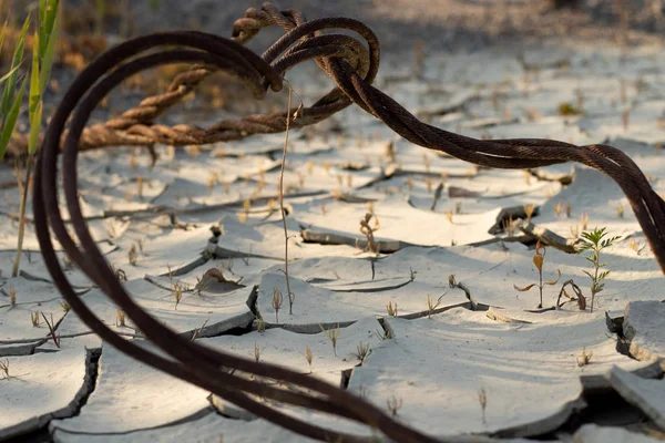 Kapalı çelik paslı kablo, çatlaklarla kuru zeminde yatıyor..