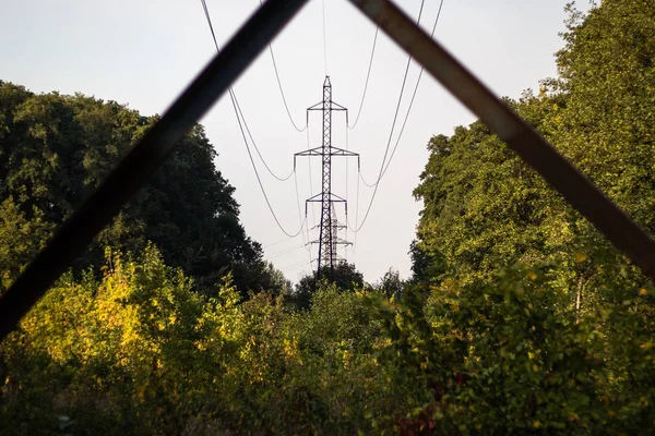 Torre Torri Linee Elettriche Nella Foresta Punto Vista Sotto Sostegno — Foto Stock