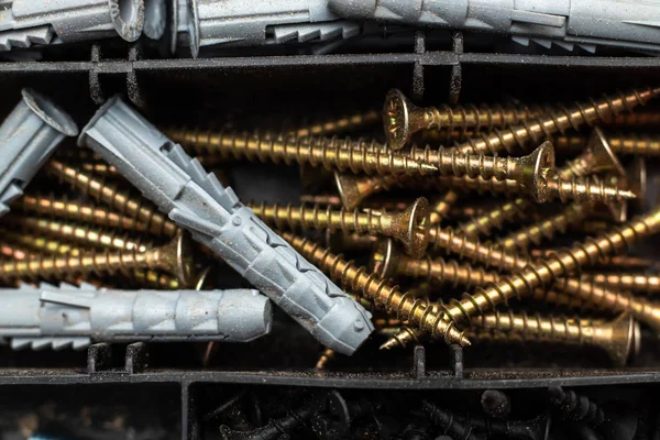 Plastik alet kutusunun kompartımanında yeni sarı vidalar vardı. Yakın plan..