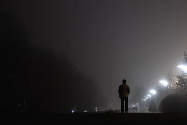 一个身穿夹克 背对着我们站在夜雾中的小巷里的男人 在白灯的映照下 背景是白桦树和灌木 — 图库照片