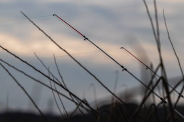 Kıyıya, gökyüzüne karşı duran oltaları fırlattı. Bulanık arkaplan.