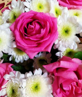 Bir buket pembe gül ve beyaz kasımpatı..