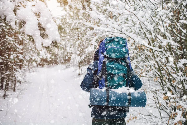 A Sole Tourist Wandering Through A Snowfall