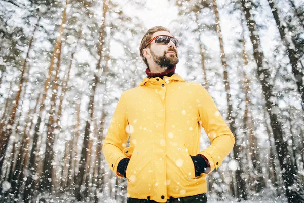 Knappe baard man in spiegelende zonnebril poseren in de winter bos — Stockfoto