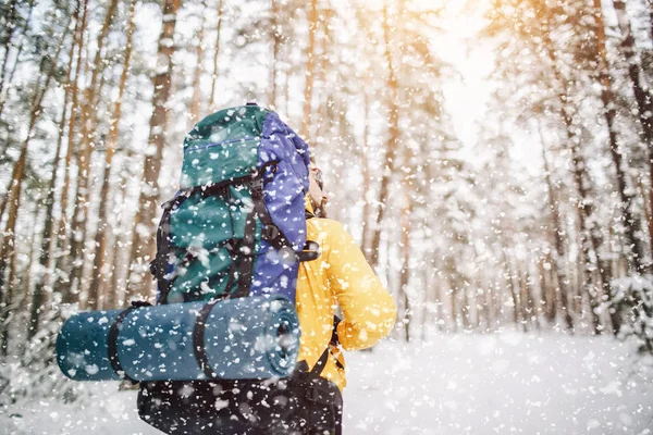 Single Tourist Walking Away Through Snowfall w lesie — Zdjęcie stockowe