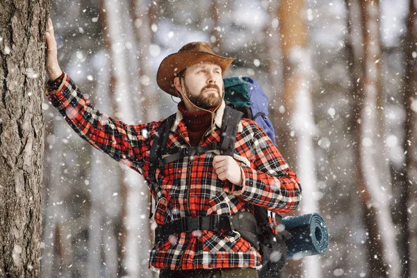 Baard wandelaar leunend op Winter Forest Tree — Stockfoto