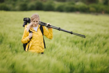 Üç ayaklı yeşil buğday tarlasında yürüyen olgun bir kadın.