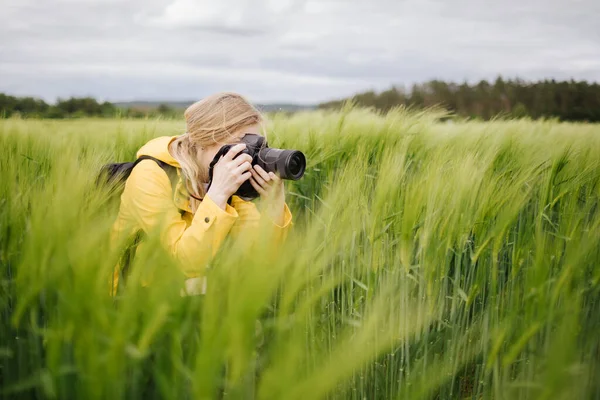 Fotoğrafçı yeşil buğday tarlasının fotoğraflarını çekiyor