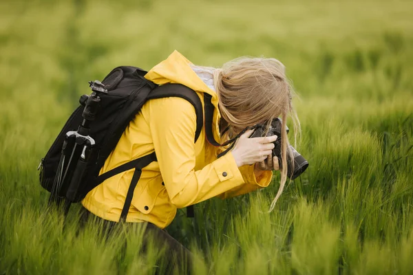 Fotograf robiący zdjęcia uszu na polu pszenicy — Zdjęcie stockowe