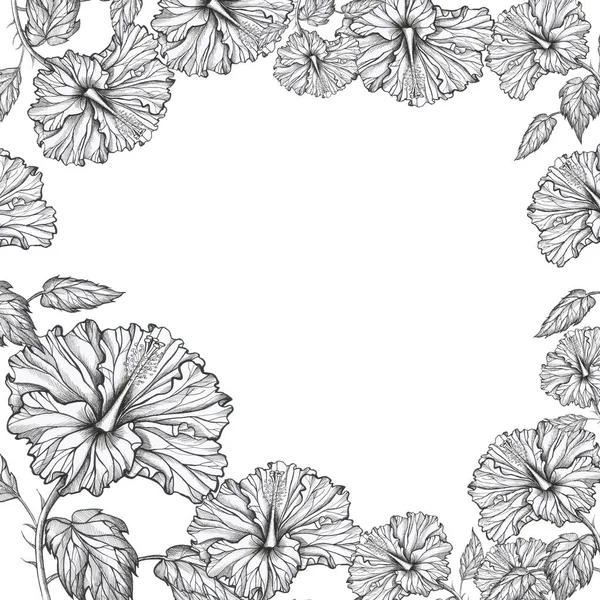 Hibiscus Узор Белый Фон — стоковое фото