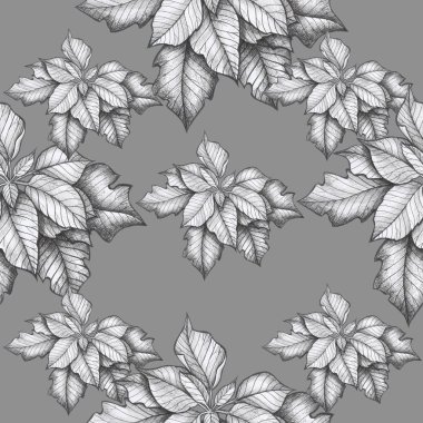 desen noktalı çiçek nesneyi izole et Noel çiçeği gri arkaplan