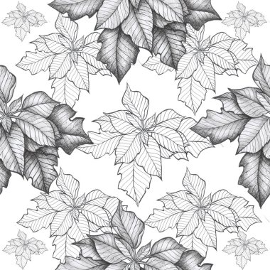 desen noktalı çiçek nesneyi izole et Noel çiçeği