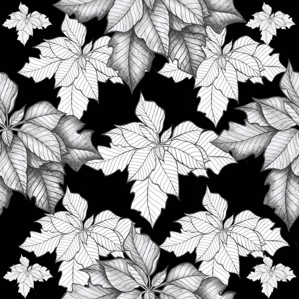 Muster Weihnachtsstern Blume Isolieren Objekt Weihnachten Blume Schwarz Hintergrund — Stockfoto