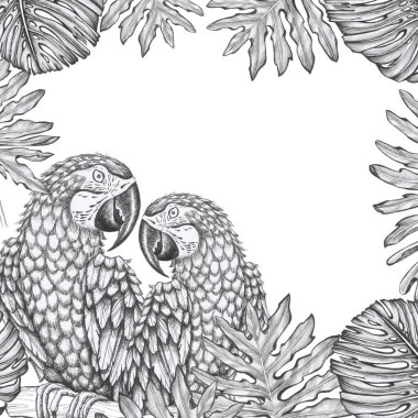 Tropikal desenli papağanlar nesneyi izole eder Beyaz arka plan sanat çizgisi bir papağanın silüeti