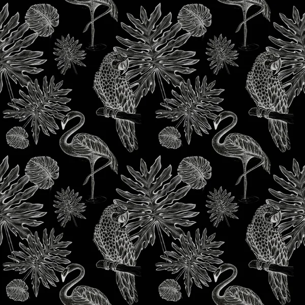 Tropical Pattern Parrots Flamingos Isolate Object Black Background Art Line — 스톡 사진