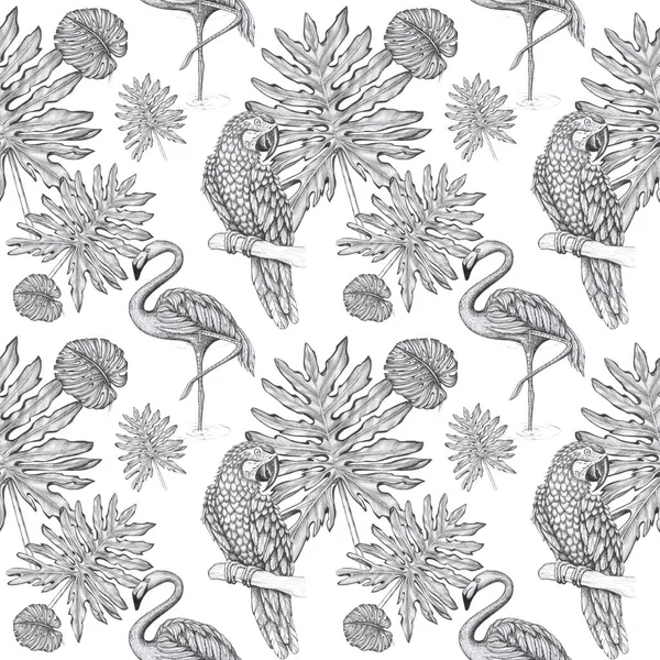 Tropikalny Wzór Papugi Flamingi Izolować Obiekt Sztuka Linia Białe Tło — Zdjęcie stockowe