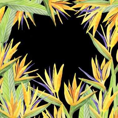 strelitzia desen çerçeve nesne siyah arkaplanı izole