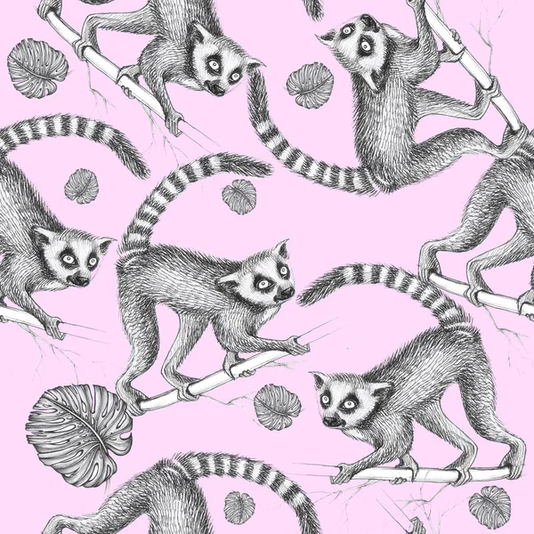 Lemurs Růžovém Pozadí Umělecké Linie — Stock fotografie
