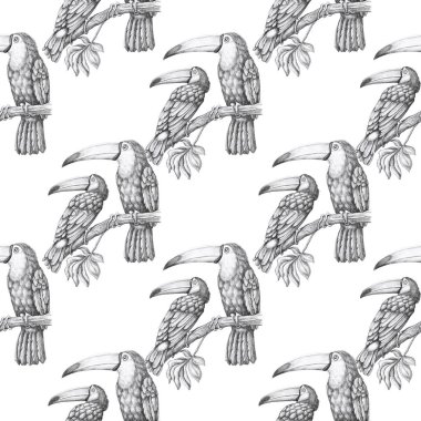 İzole edilmiş arka planda tropikal kuş desenleri