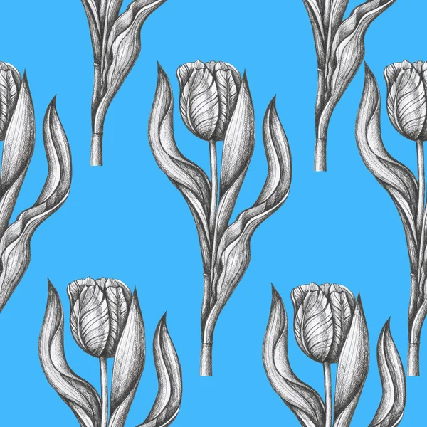 floral cards tulips pattern blue background