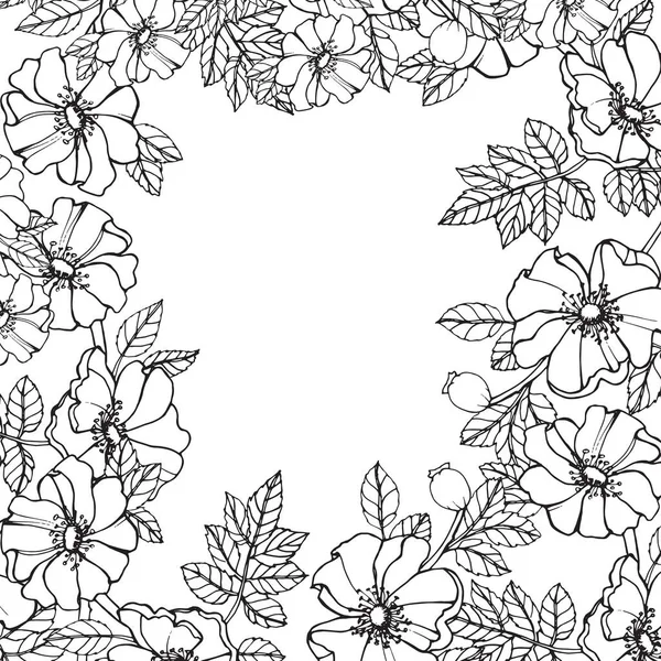 Frame Rozenbottel Tak Met Bloemen Witte Achtergrond Isoleren Object — Stockfoto