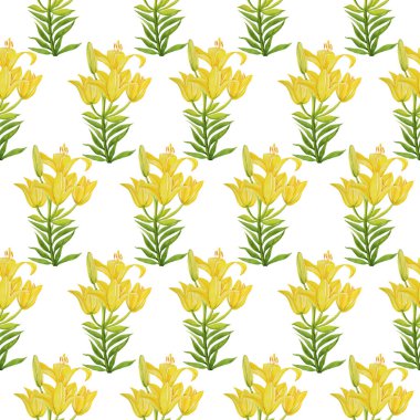 Sarı zambak deseni beyaz arkaplan çiçeğini izole et