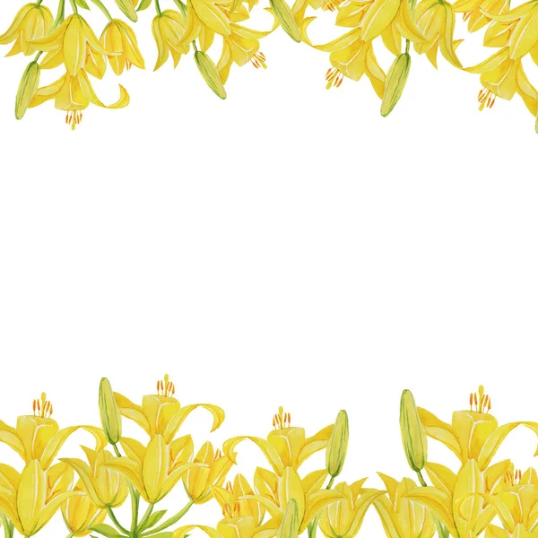 Yellow Lily Pattern Isolate Object White Background Flower — Stock Photo, Image